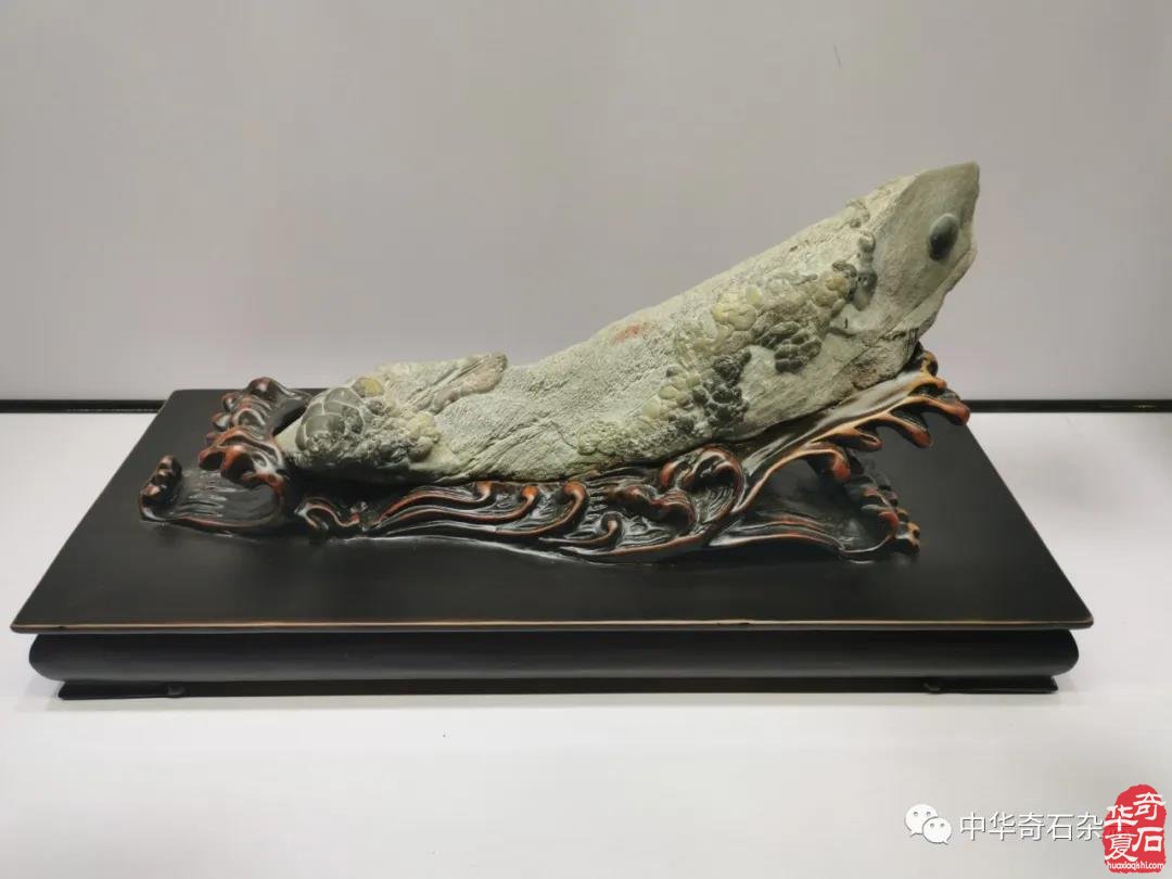 美石精品典藏︱润泽珍珠，寻一方静心