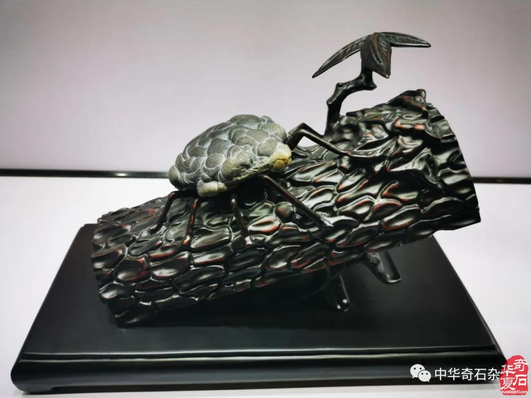 美石精品典藏︱润泽珍珠，寻一方静心
