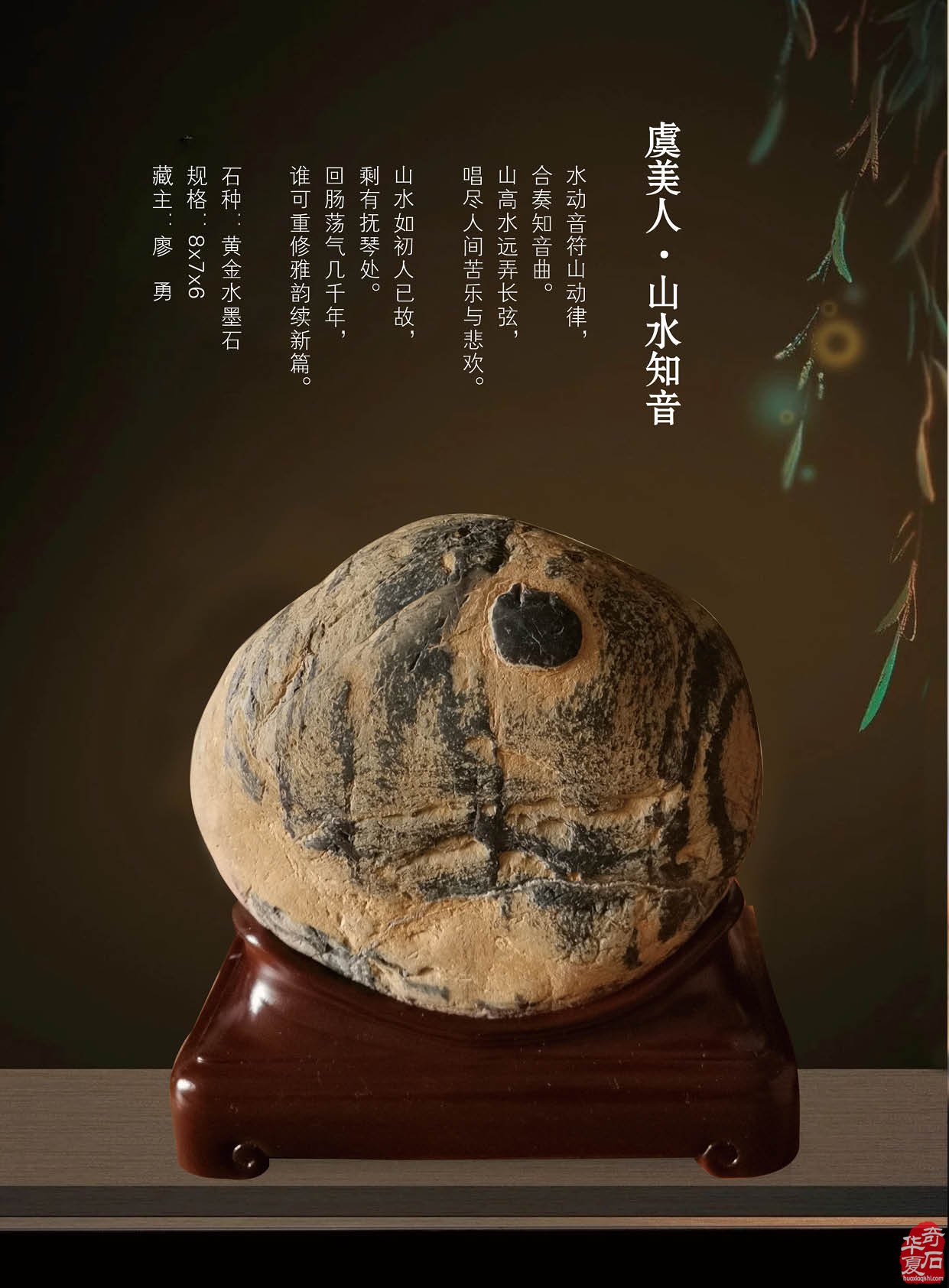 最新版《于公赏石》杂志上线啦 组图