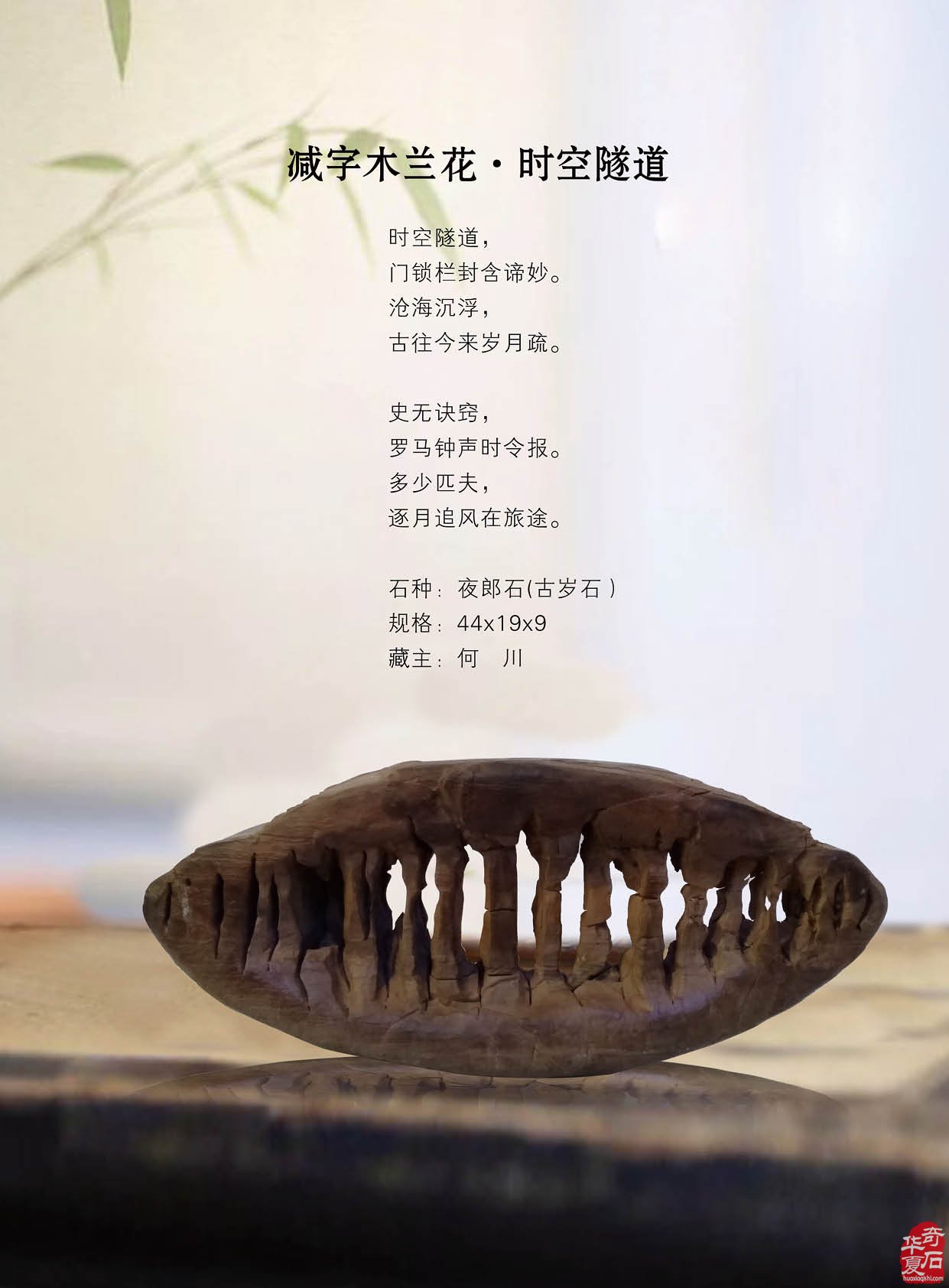 最新版《于公赏石》杂志上线啦 组图