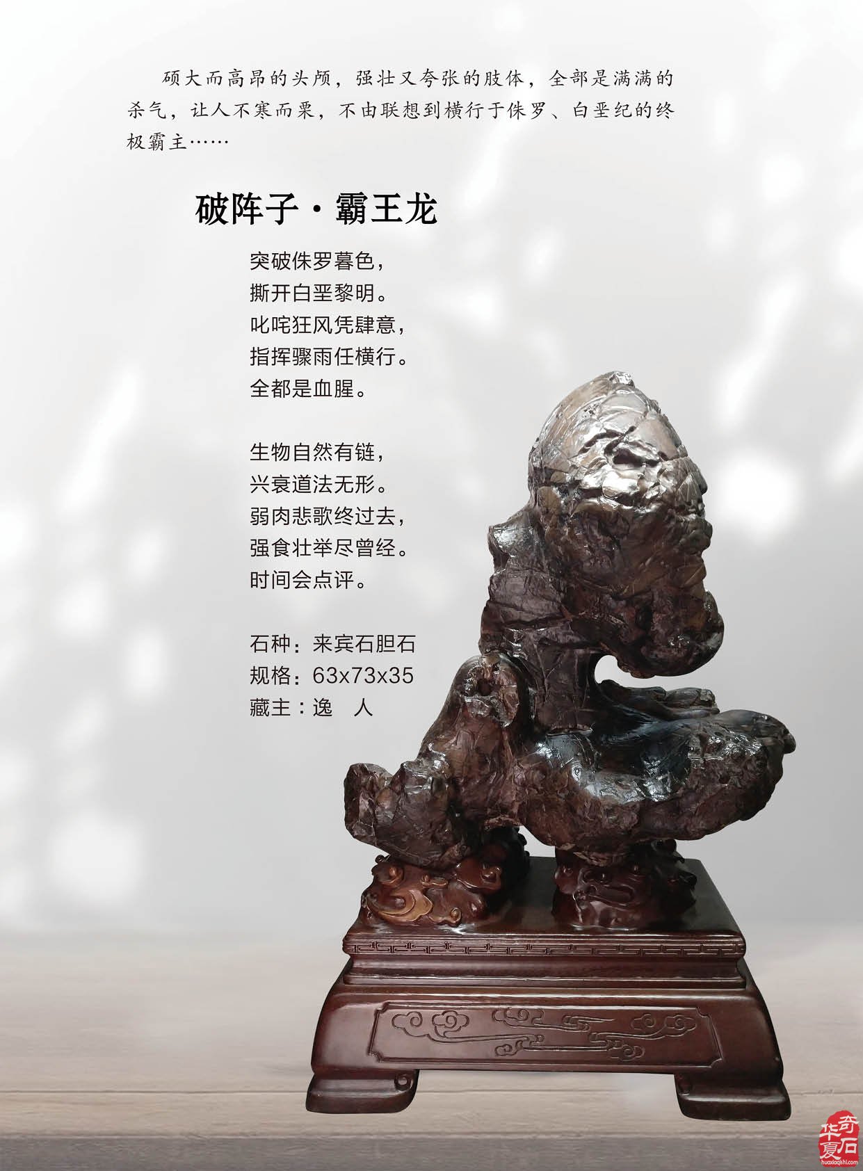 最新版《于公赏石》杂志上线啦 组图