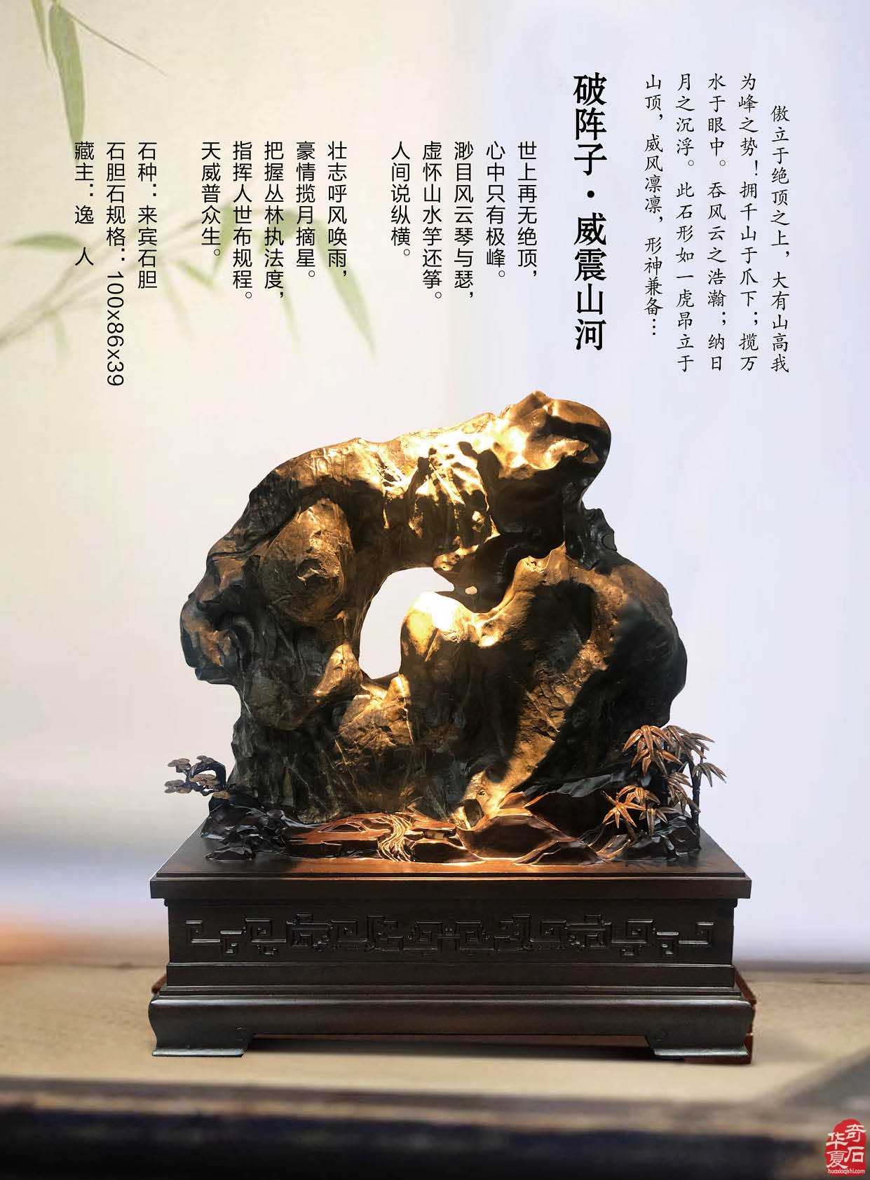 最新版《于公赏石》杂志上线啦 组图