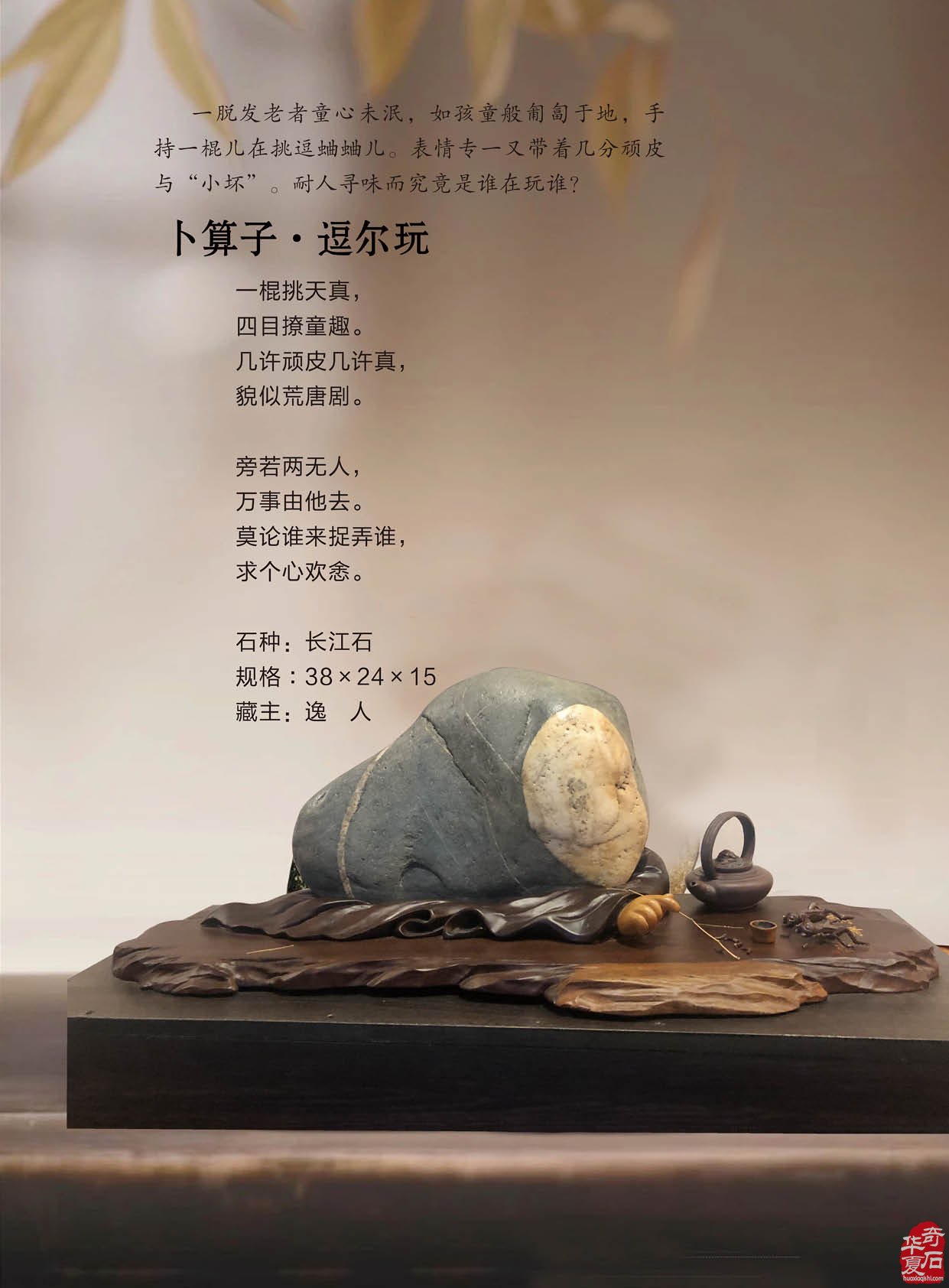 最新版《于公赏石》杂志上线啦 组图