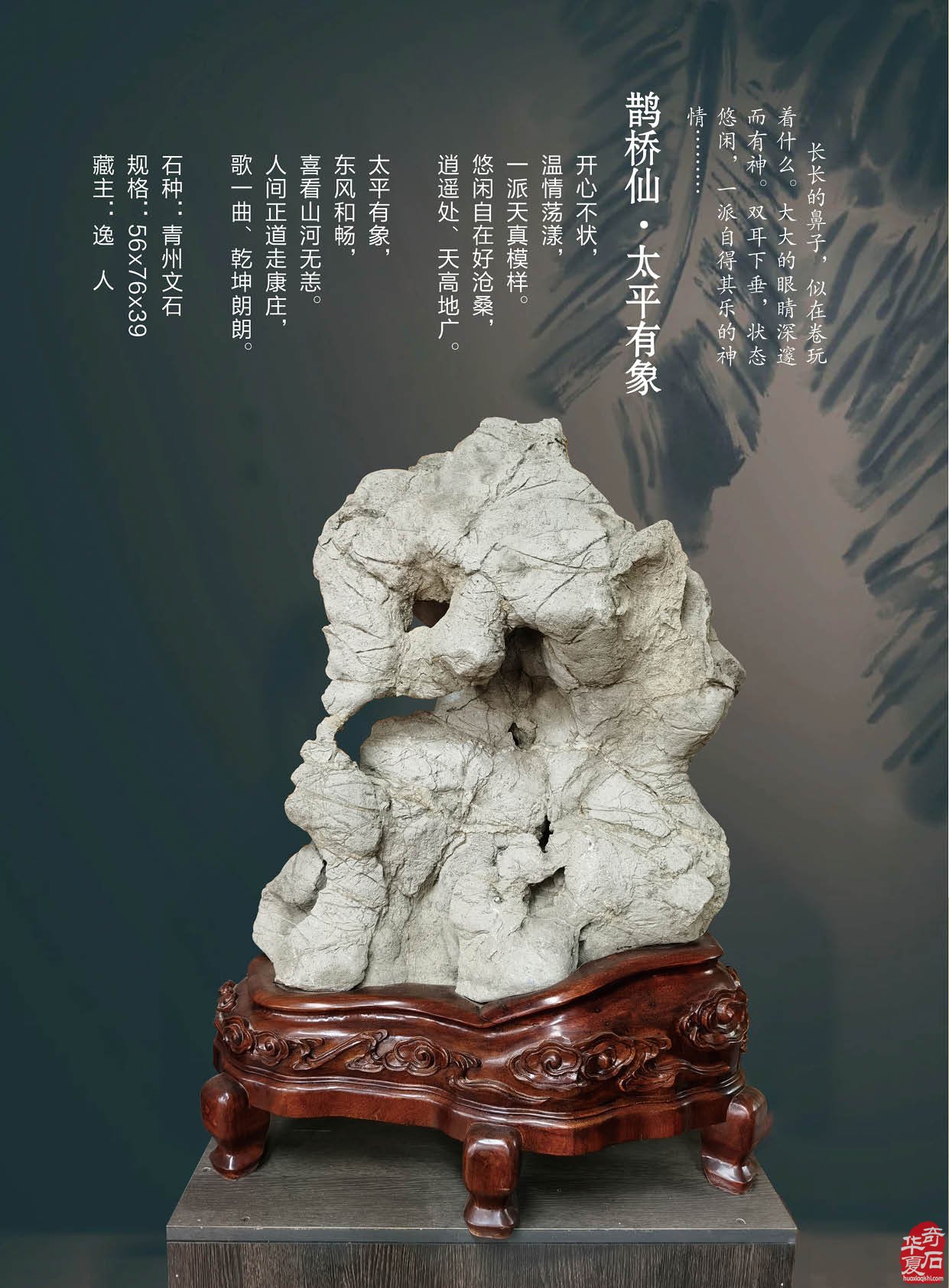 最新版《于公赏石》杂志上线啦 组图
