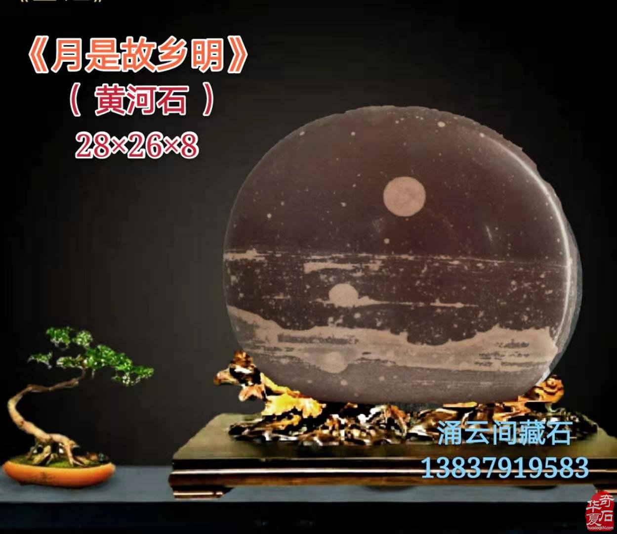 热烈祝贺《涌云间》在洛阳奇石城开馆 图