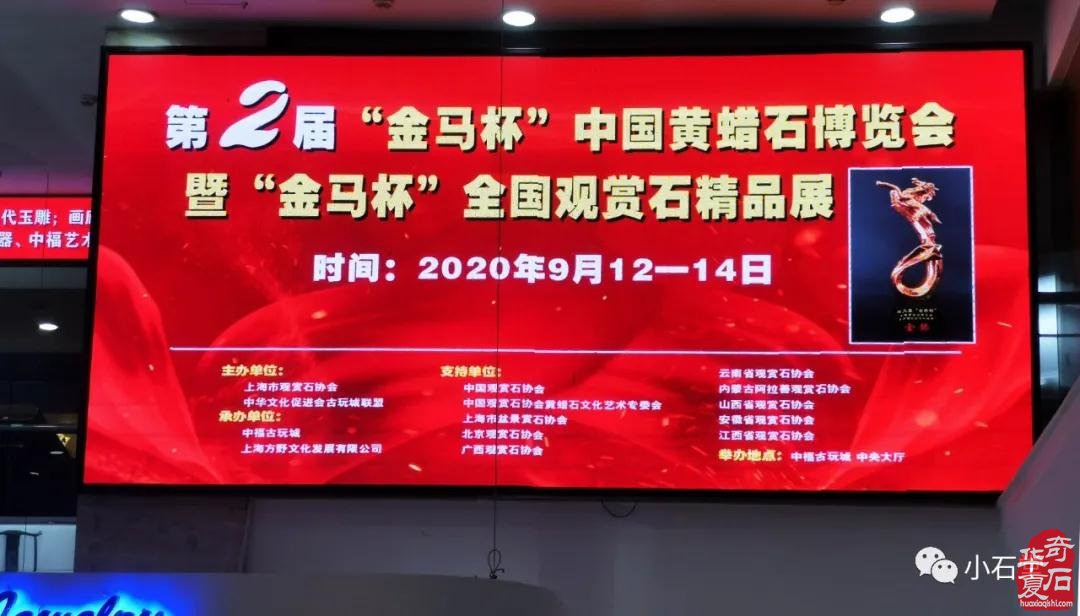 上海——第二届“金马杯”精品展，已报名作品部分展示