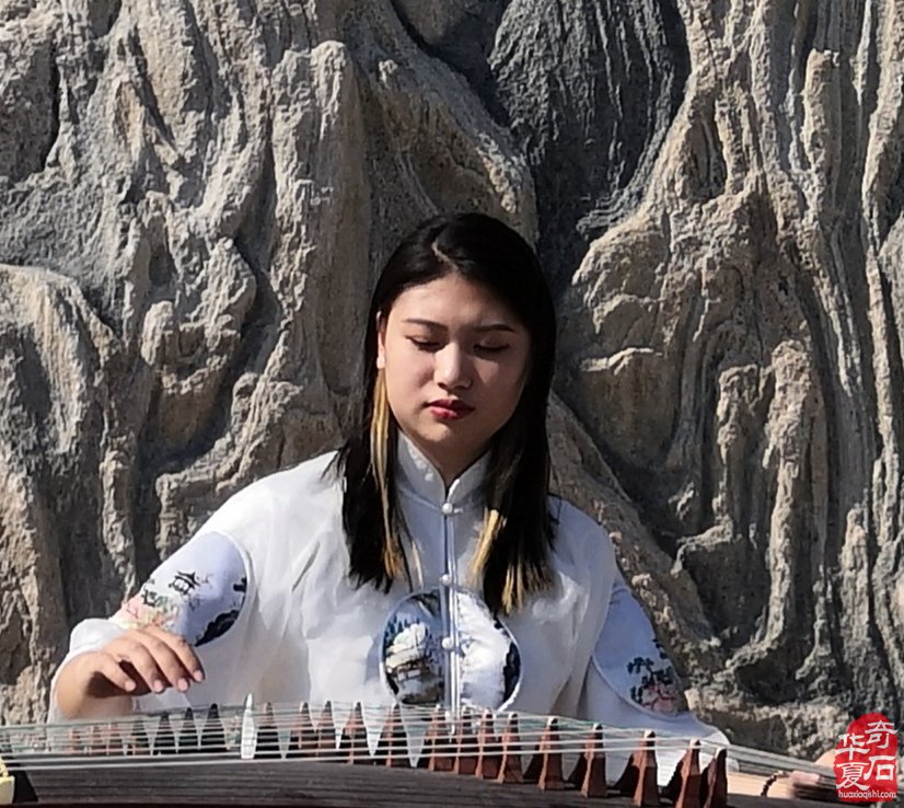 雪浪巨石浪天涯置天下 图