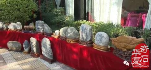 洛阳奇石城内华山脚下洋溢着石友们的欢歌笑语