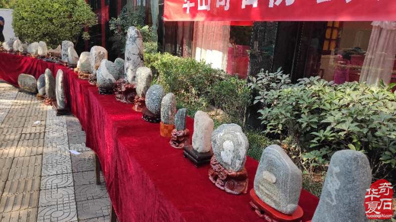 洛阳奇石城内华山脚下洋溢着石友们的欢歌笑语