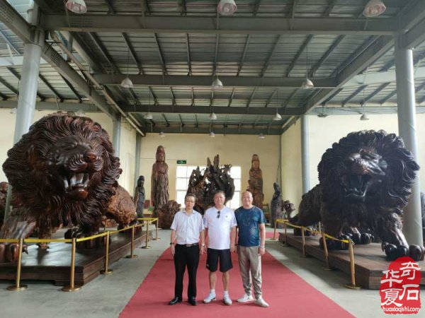 河北省观赏石协会文化高端访问团,来豫交流第三站,平顶山纪实。