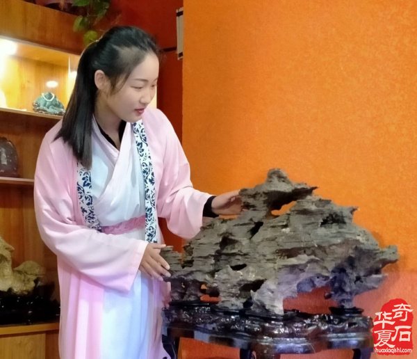 河北省观赏石协会文化高端访问团,来豫交流第三站,平顶山纪实。