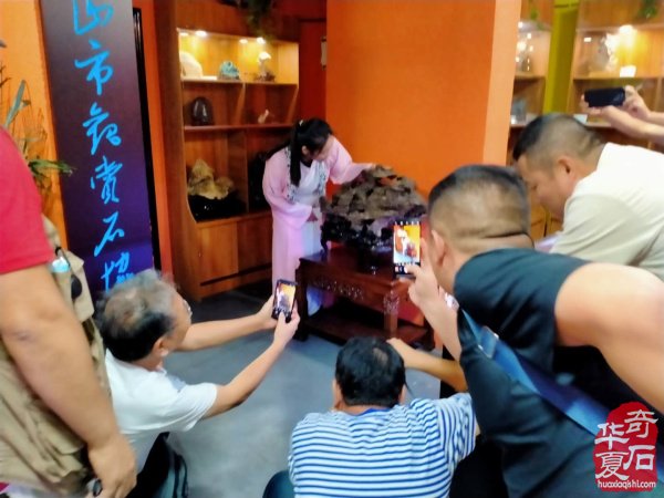 河北省观赏石协会文化高端访问团,来豫交流第三站,平顶山纪实。
