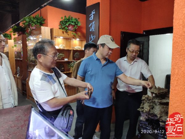 河北省观赏石协会文化高端访问团,来豫交流第三站,平顶山纪实。