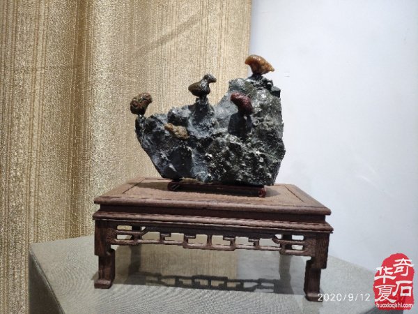 河北省观赏石协会文化高端访问团,来豫交流第三站,平顶山纪实。
