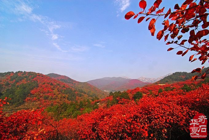 第五站 冀豫两地赏石界高端参访交流团到达桐柏