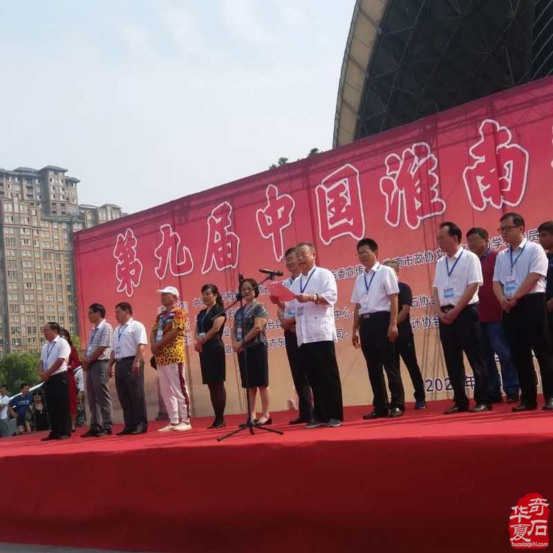 第九届中国淮南观赏石博览会隆重开幕 图