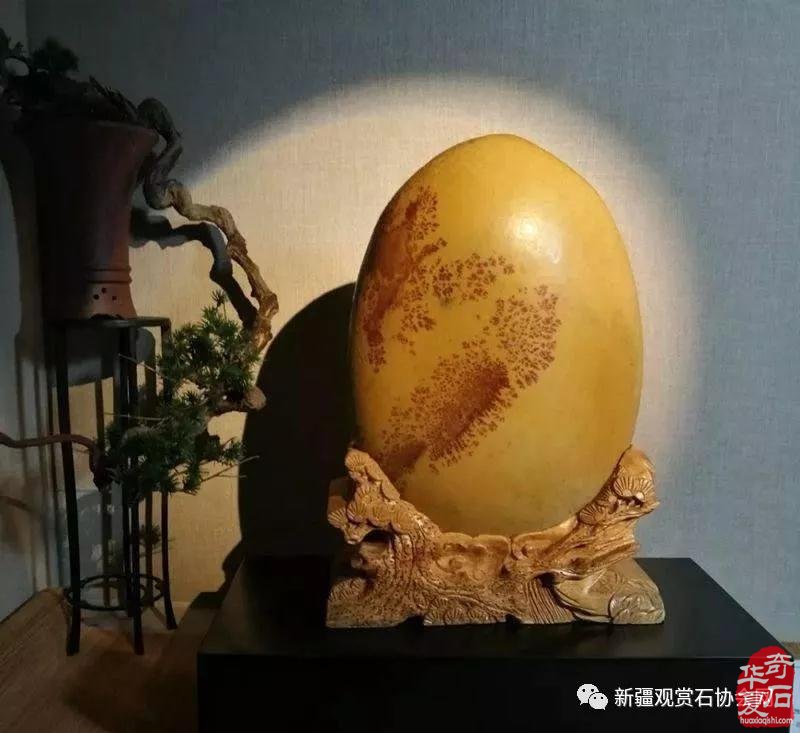 把玩奇石，是不可估量的精神财富！