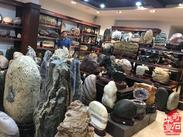 冀豫两地赏石界文化交流参访考察团第七站来到许昌 图