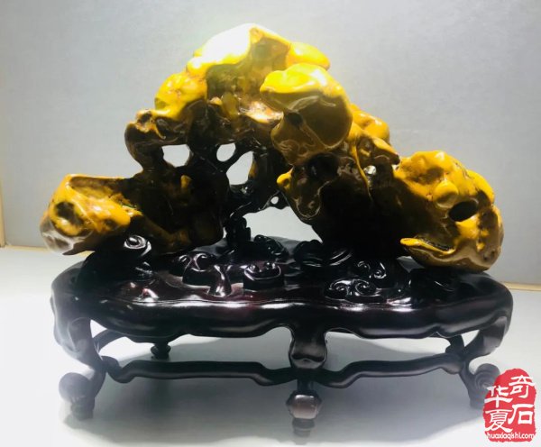 青岛赏石文化万里行义乌之旅圆满结束！
