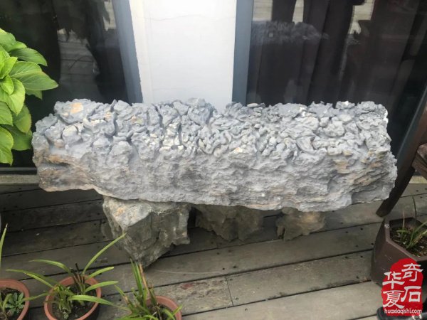青岛赏石文化万里行义乌之旅圆满结束！
