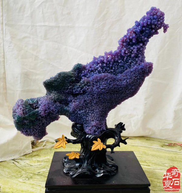 青岛赏石文化万里行义乌之旅圆满结束！