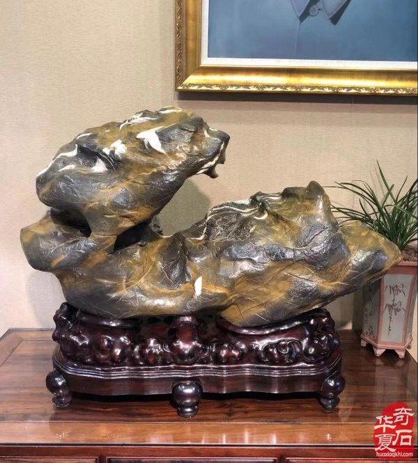 青岛赏石文化万里行义乌之旅圆满结束！