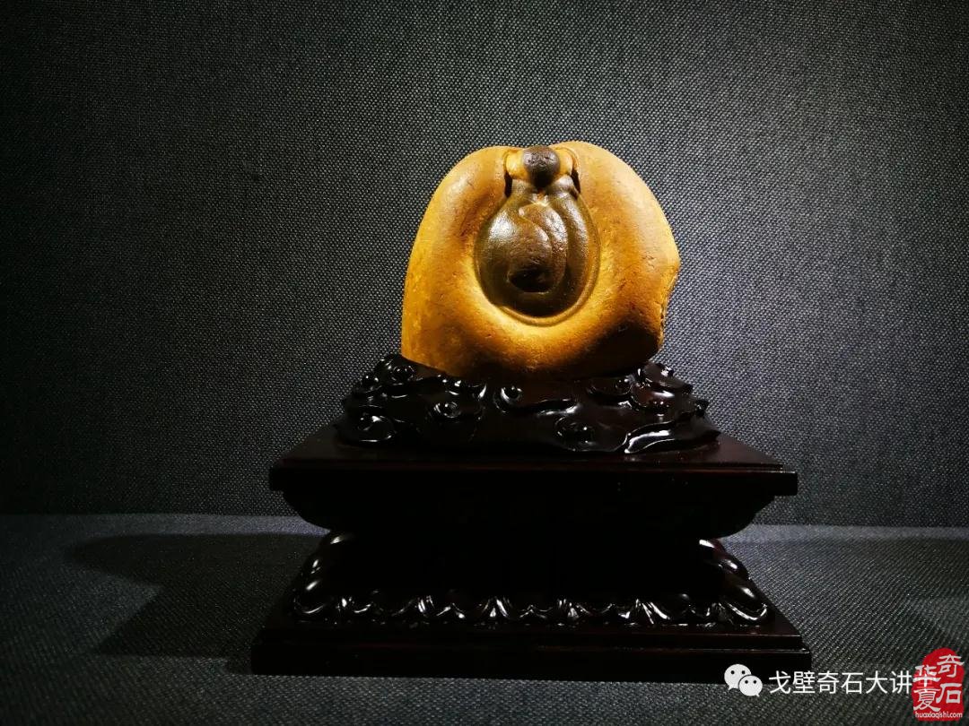 【精品厅抢先看】第二届中国赏石艺术双年展10月10日在咸阳开幕！