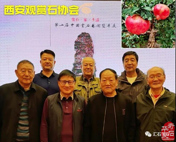 石榴树下,镜头里的“双年展“ 图