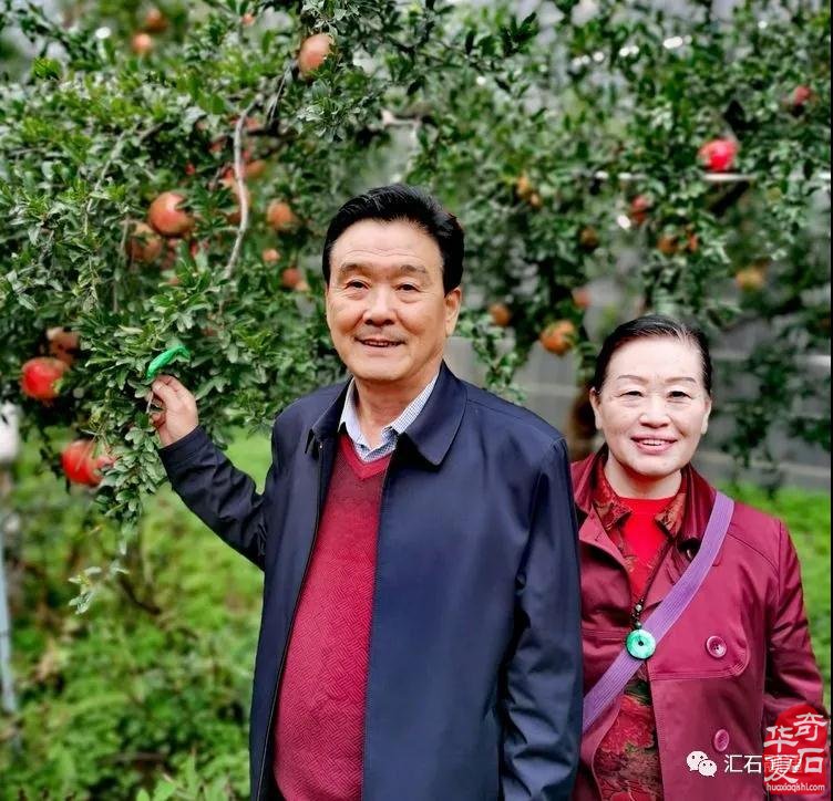 石榴树下,镜头里的“双年展“ 图