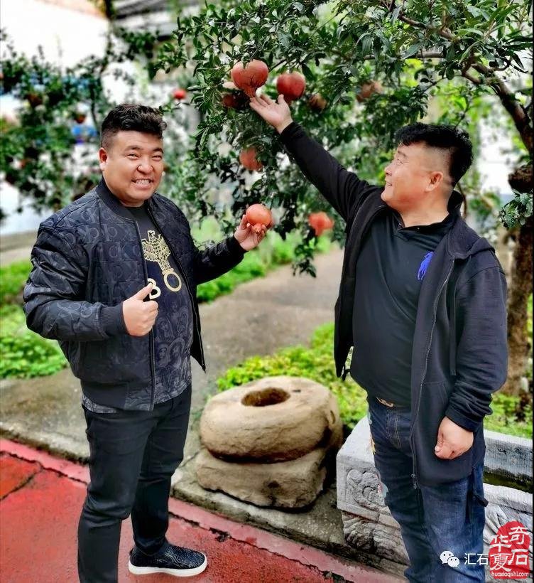 石榴树下,镜头里的“双年展“ 图