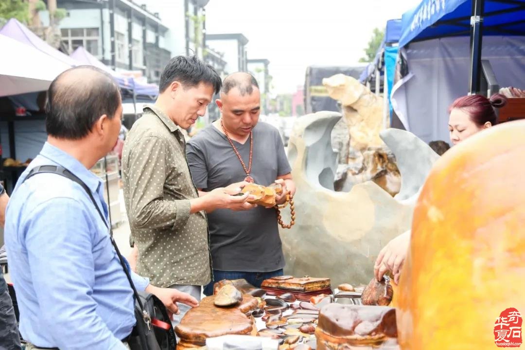 2020中国杭州赏石艺术节来啦！10月18日正式开启