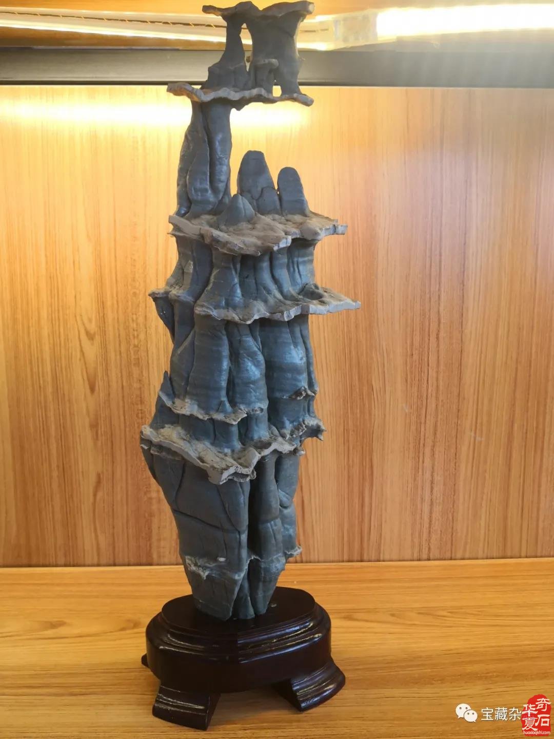 丹东“北黄海杯”观赏石精品展盛大启幕！