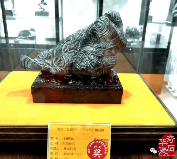 中国·西安“丝绸之路”（第七届）赏石博览会暨“丝路杯”精品展隆重开幕——获奖作品展示