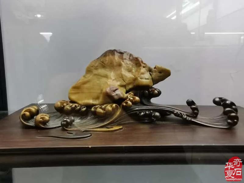 2020中国·开封首届“大宋杯”观赏石精品展暨奇石交易会隆重开幕、精彩纷呈！