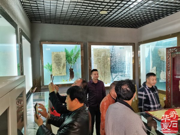 第二站 河南省观赏石协会回访团到访丰宁 图