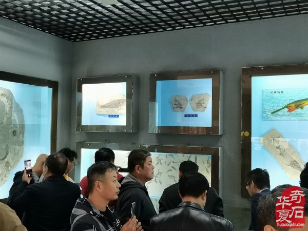 第二站 河南省观赏石协会回访团到访丰宁 图