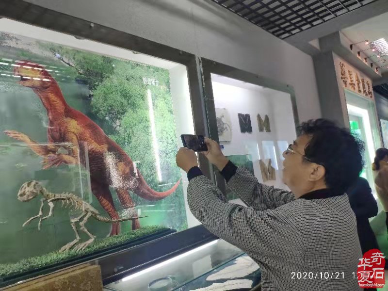 第二站 河南省观赏石协会回访团到访丰宁 图