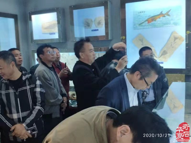 第二站 河南省观赏石协会回访团到访丰宁 图