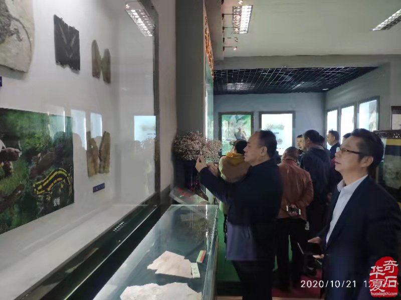 第二站 河南省观赏石协会回访团到访丰宁 图