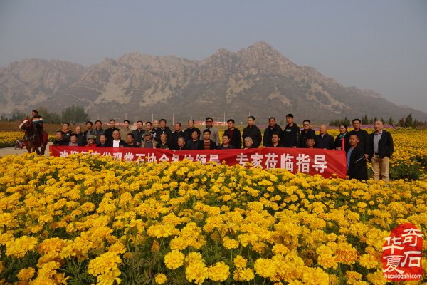 河南石界参访团第七站汇聚雕刻之乡曲阳 图
