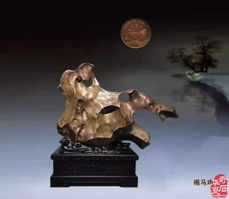 浙江绍兴奇石藏家陈泽民作品欣赏 图