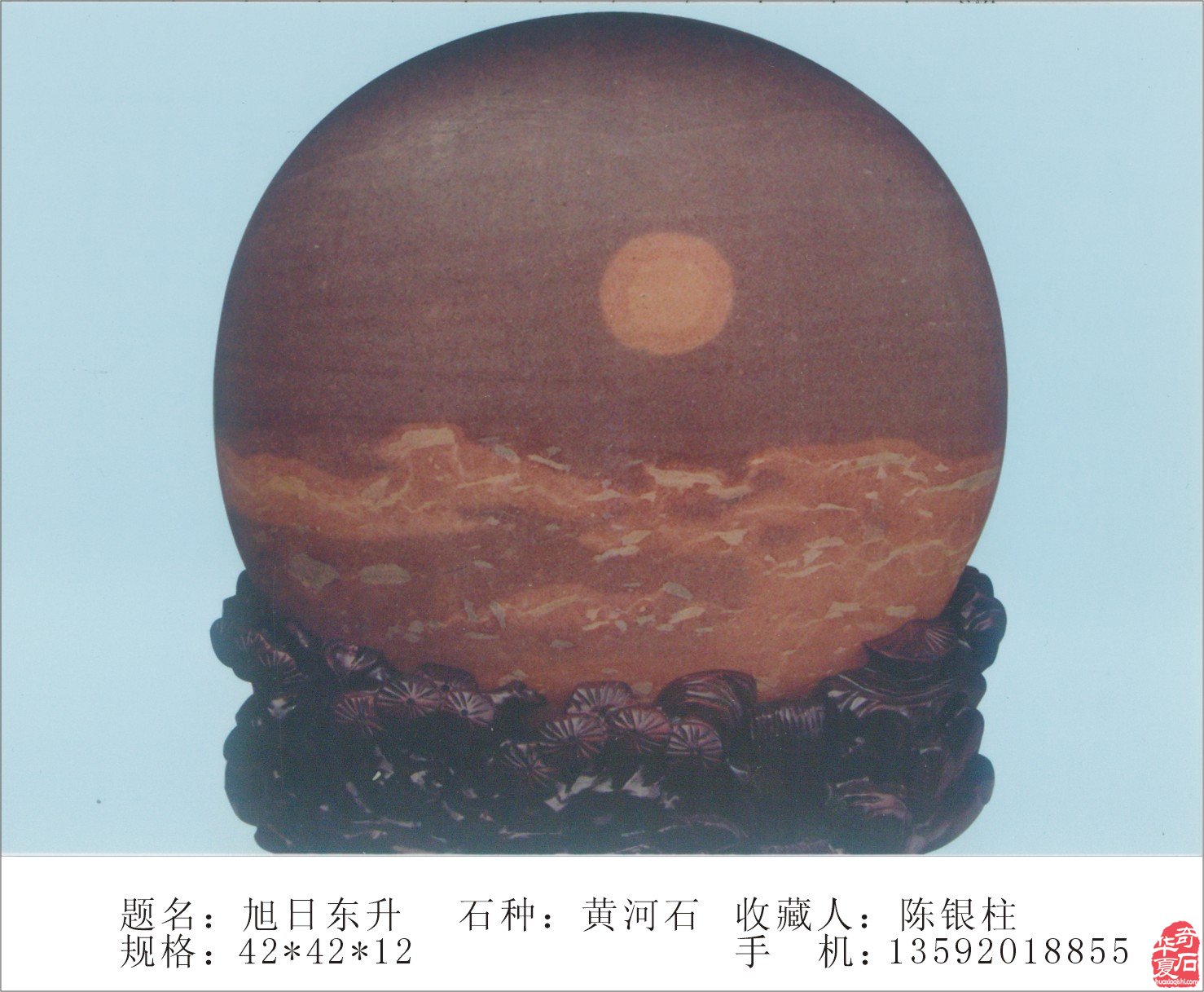 行家藏家玩石主要取决于道性和眼力 图