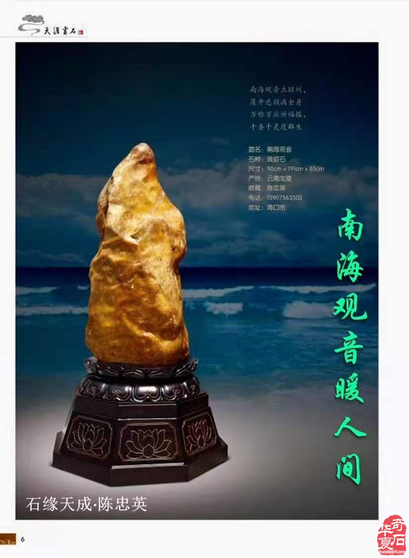 海南省赏石文化协会石友之家开业大吉 
