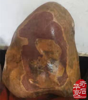 河南（郏县）首届奇石、观赏石精品展隆重开幕