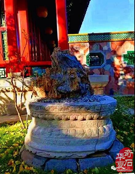 东莞可园英石雅集“观石得云”开展 图