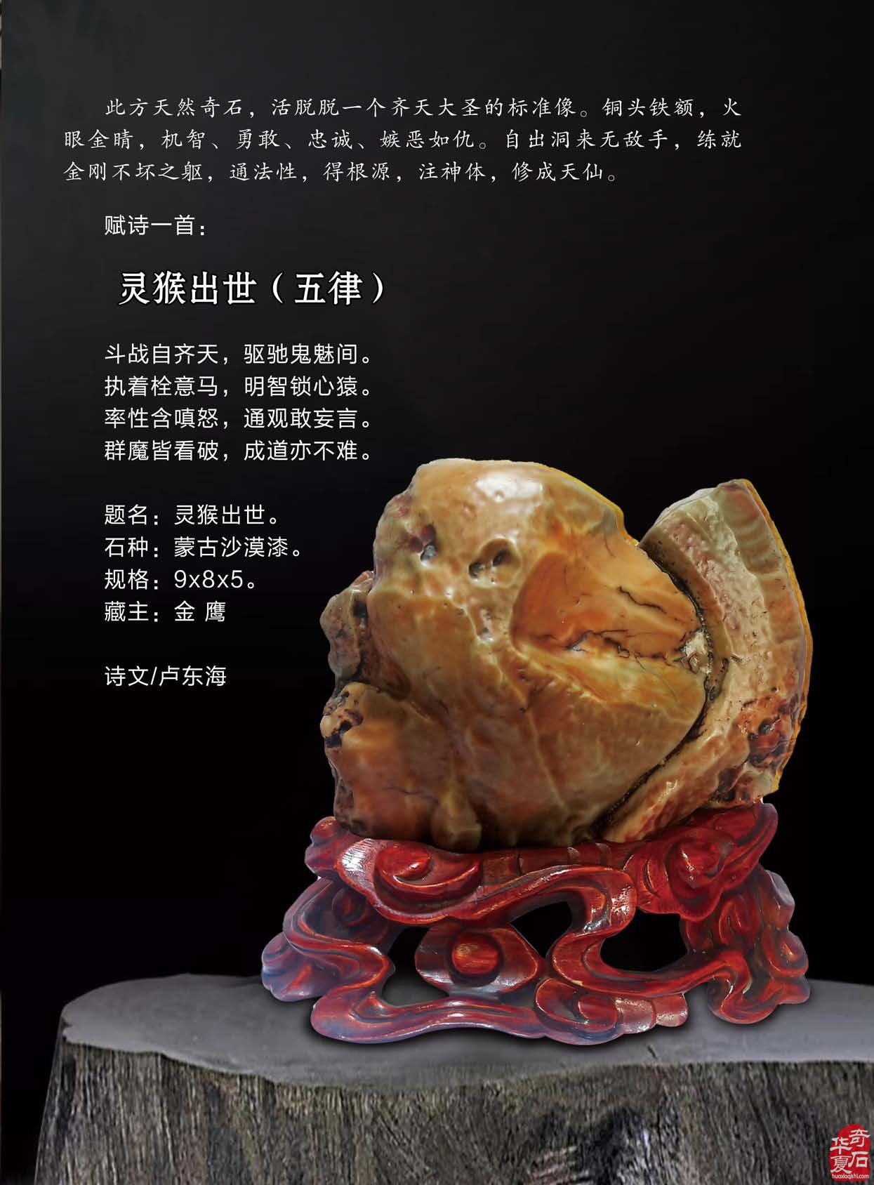 携带灵活阅读方便的《于公赏石》新版上线 图