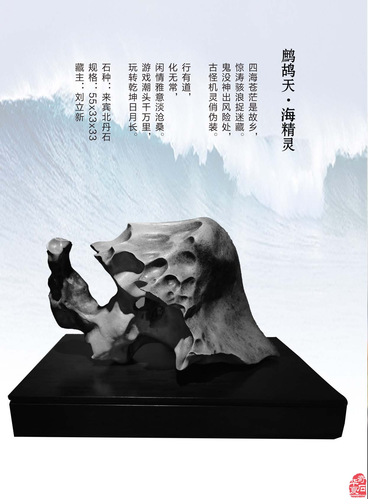 携带灵活阅读方便的《于公赏石》新版上线 图