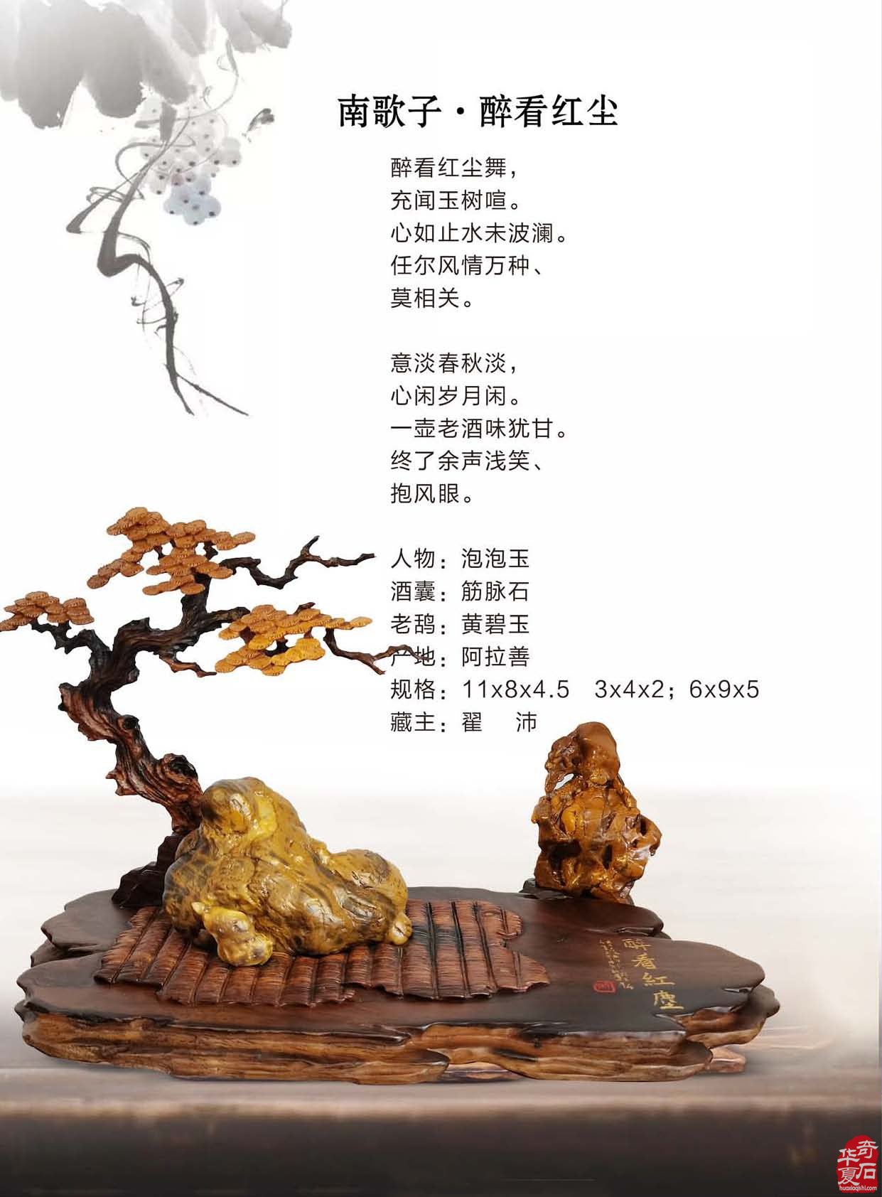 携带灵活阅读方便的《于公赏石》新版上线 图