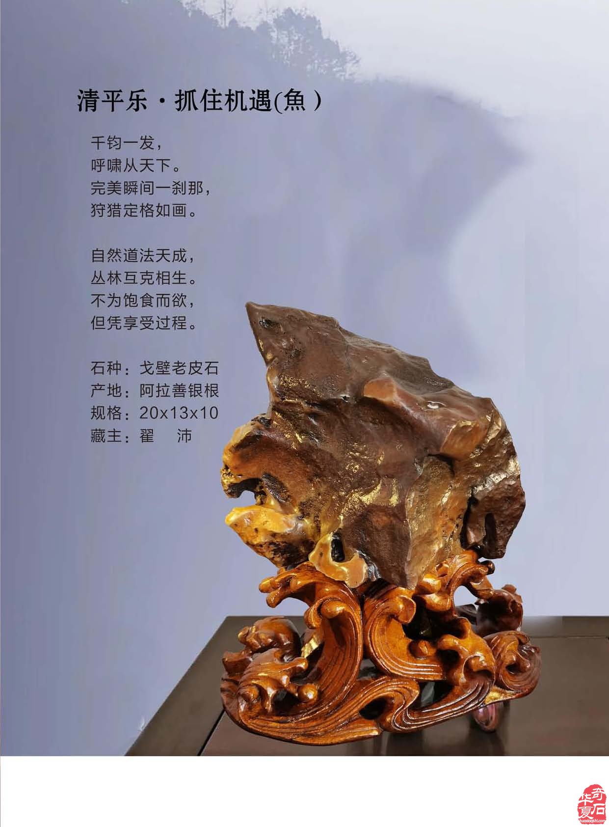 携带灵活阅读方便的《于公赏石》新版上线 图