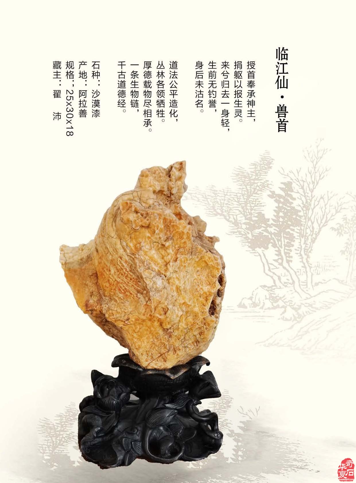 携带灵活阅读方便的《于公赏石》新版上线 图